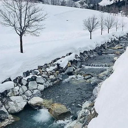 Residenz Ambassador 洛伊克巴德