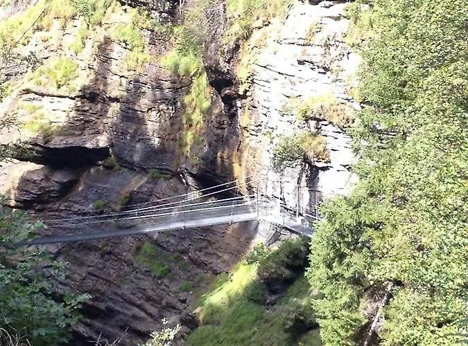 Residenz Ambassador *