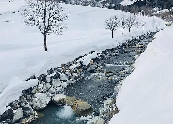 Residenz Ambassador 洛伊克巴德